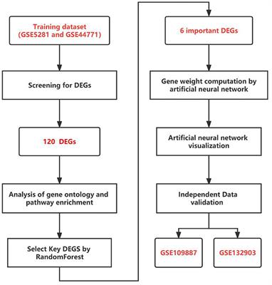 Establishment and Analysis of a Combined Diagnostic Model of Alzheimer's Disease With Random Forest and Artificial Neural Network